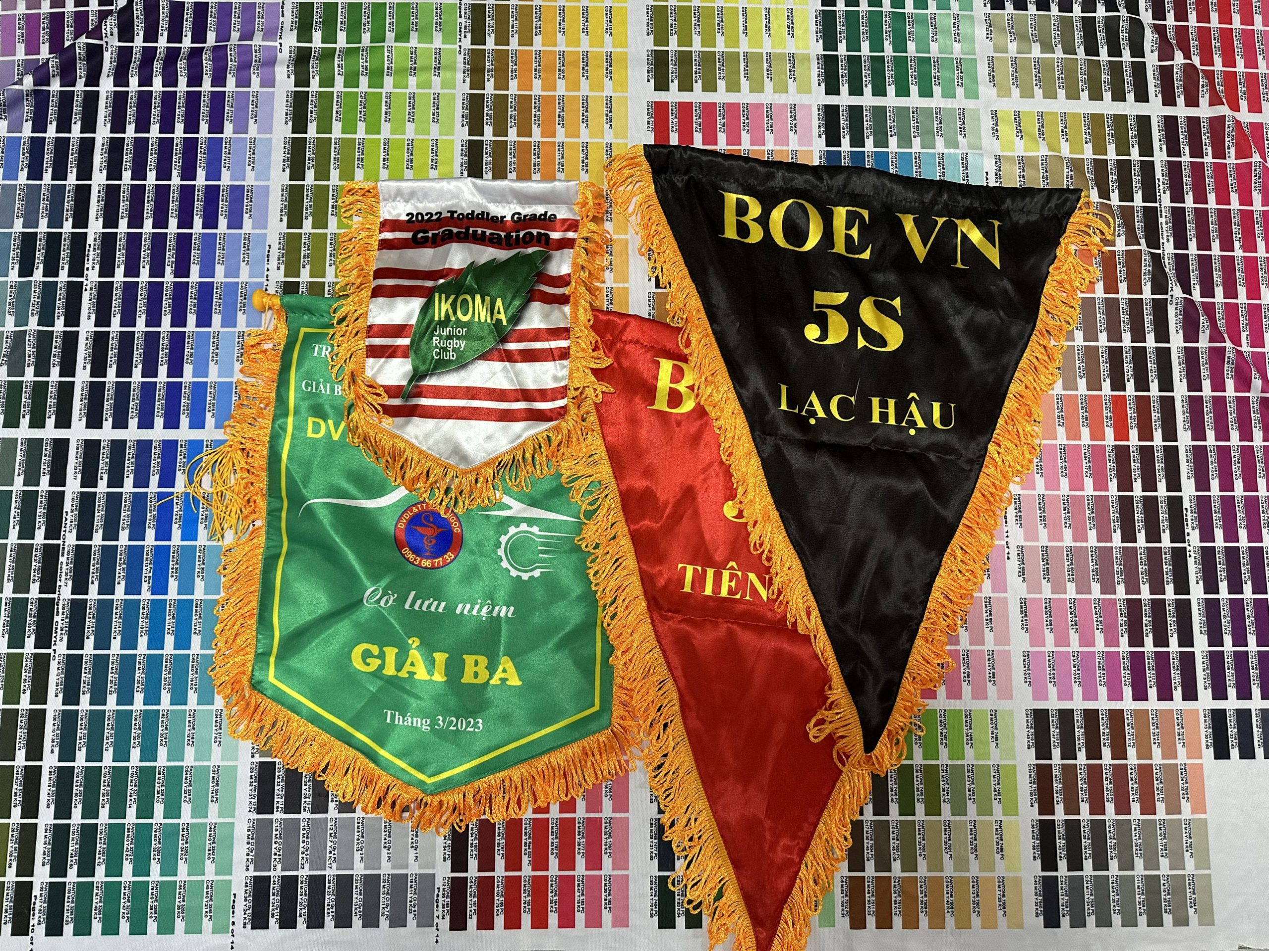 Cờ Lưu Niệm - Ảnh 9